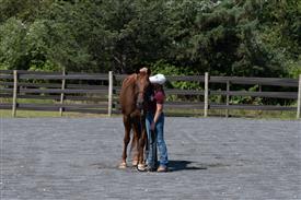 LR-WRF 08022025-Retreat-3059